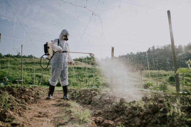Pest Control Cost in Rapid City, SD