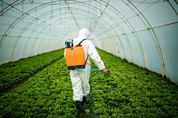 Trusted Rapid City, SD Pest Control Experts