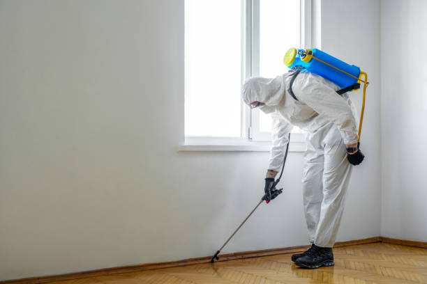Insect Control in Rapid City, SD