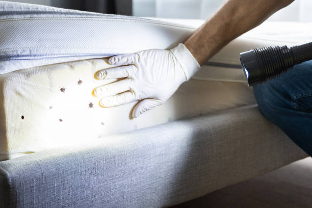 Pest Control Cost in Rapid City, SD