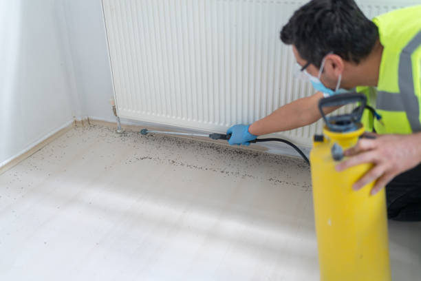 Best Cockroach Control Services  in Rapid City, SD